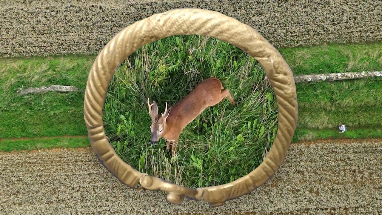 Part 1&ndash;The Bristol Avon, a Wild Deer, a Wild Rabbit & Some Thoughts on The Old Bury at Didmarton
