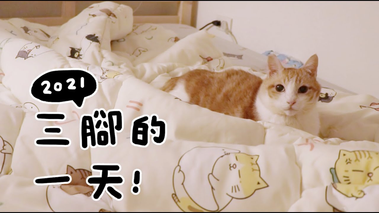 【黃阿瑪的後宮生活】2021三腳的一天！
