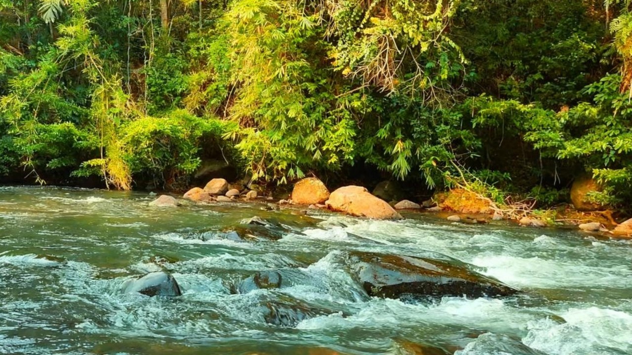Pure River Flow Sounds 🍃 Nature White Noise Ambience