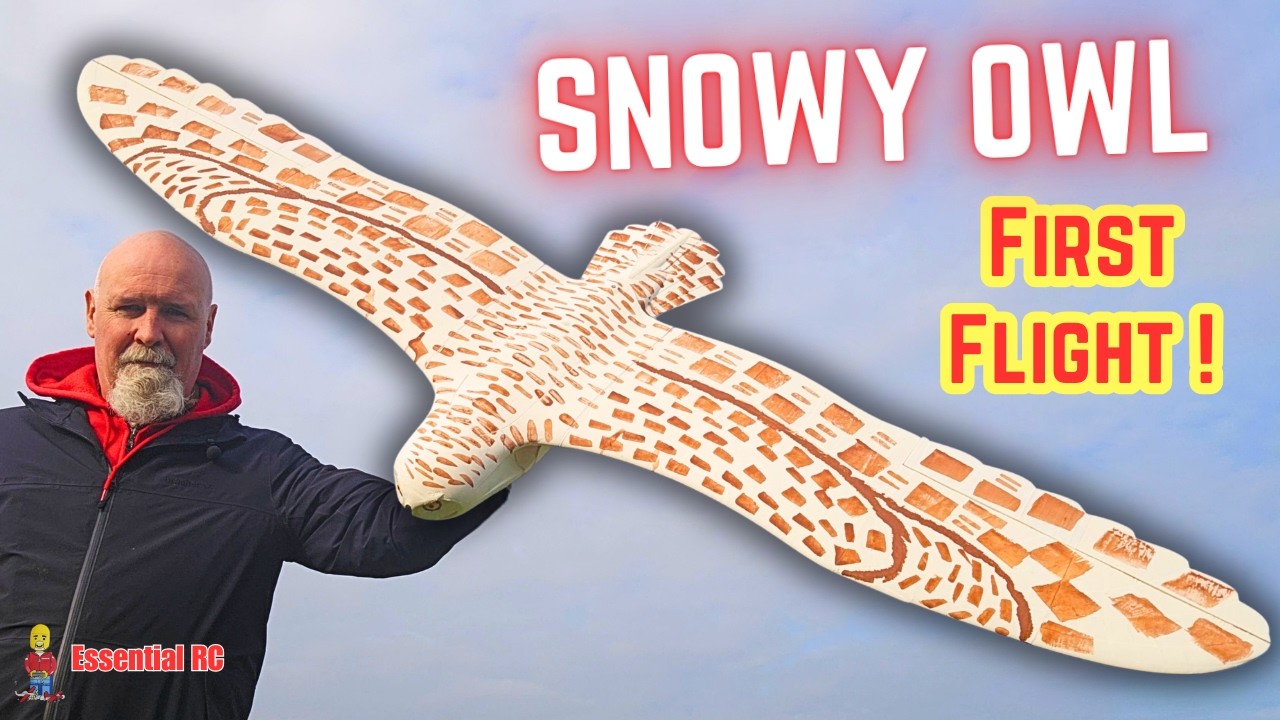 3D printed Snowy Owl radio controlled (RC) EDF Jet. Nearly a disastrous first flight !