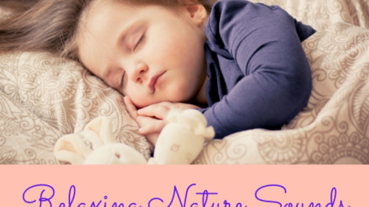 Relaxing Nature Sounds Live Stream