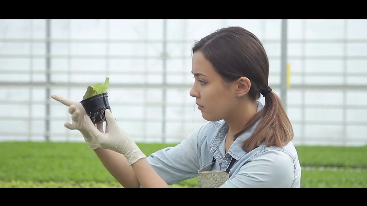 AGROEMPRENDEDORES 2017