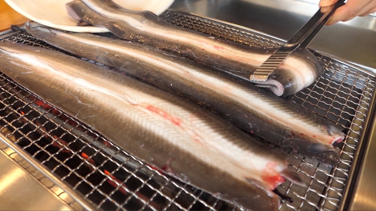 줄서서 먹는 민물장어 숯불구이집 Grilled freshwater eel oak charcoal/ Korean street food