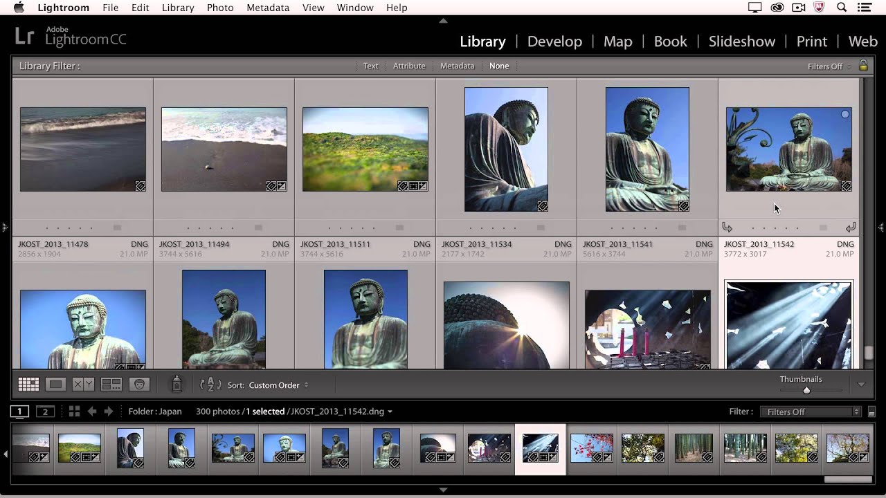 Lightroom CC - Comparing, Rating, and Prioritizing Images | Adobe Lightroom