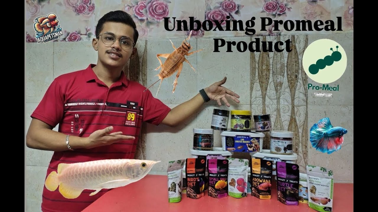 Testing India's Best Fish Food Brand  🐠| Promeal Full Product Unboxing | Best food for fish |