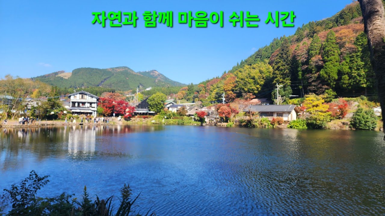  자연을 보며 듣는 좋은 감성 발라드 모음 