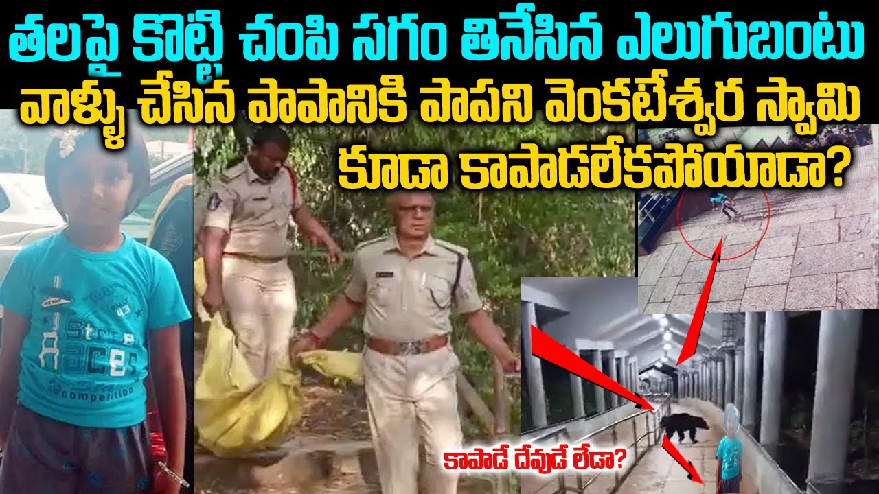 పాపం ఎవరిది ? శిక్ష ఎవరికీ ?తిరుపతి ఎలుగుబంటి ఎవరు?Tirumala Lakshita Story | Mr venkat waves