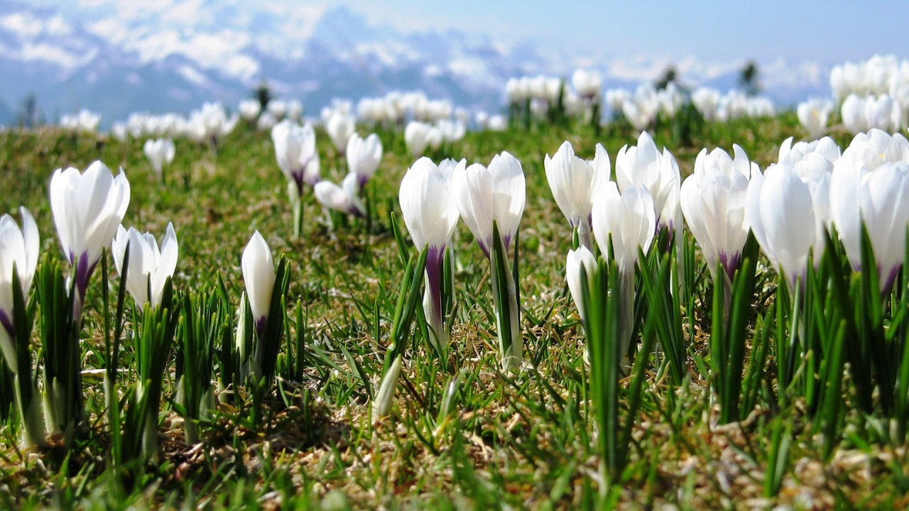 12.03.2026 - Nabożeństwo czwartkowe - Chrześcijańska Wspólnota Zielonoświątkowa w Kłodzku