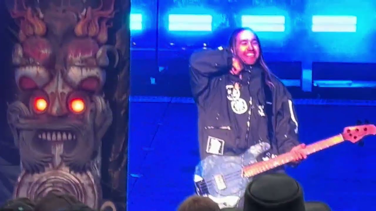 Fall Out Boy - Grand Theft Autumn / Where Is Your Boy - Live at Download festival