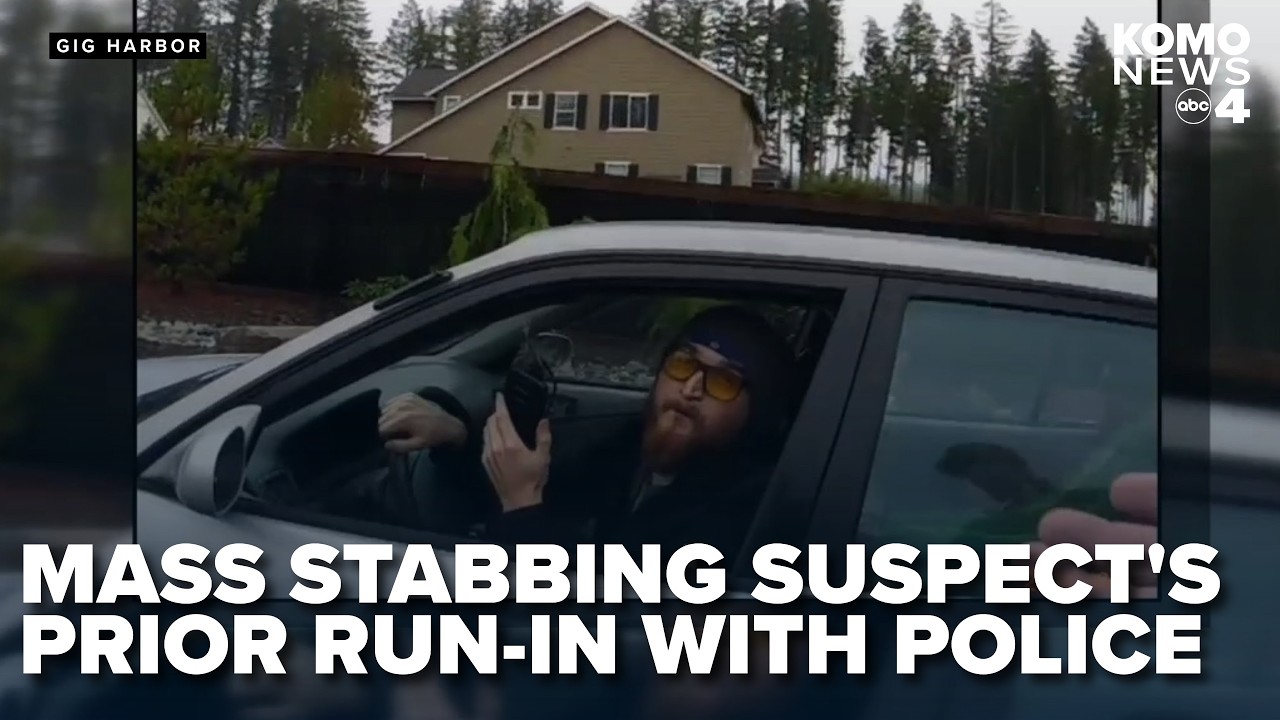 'I am no longer a person': Video shows mass stabbing suspect's prior run-in with police
