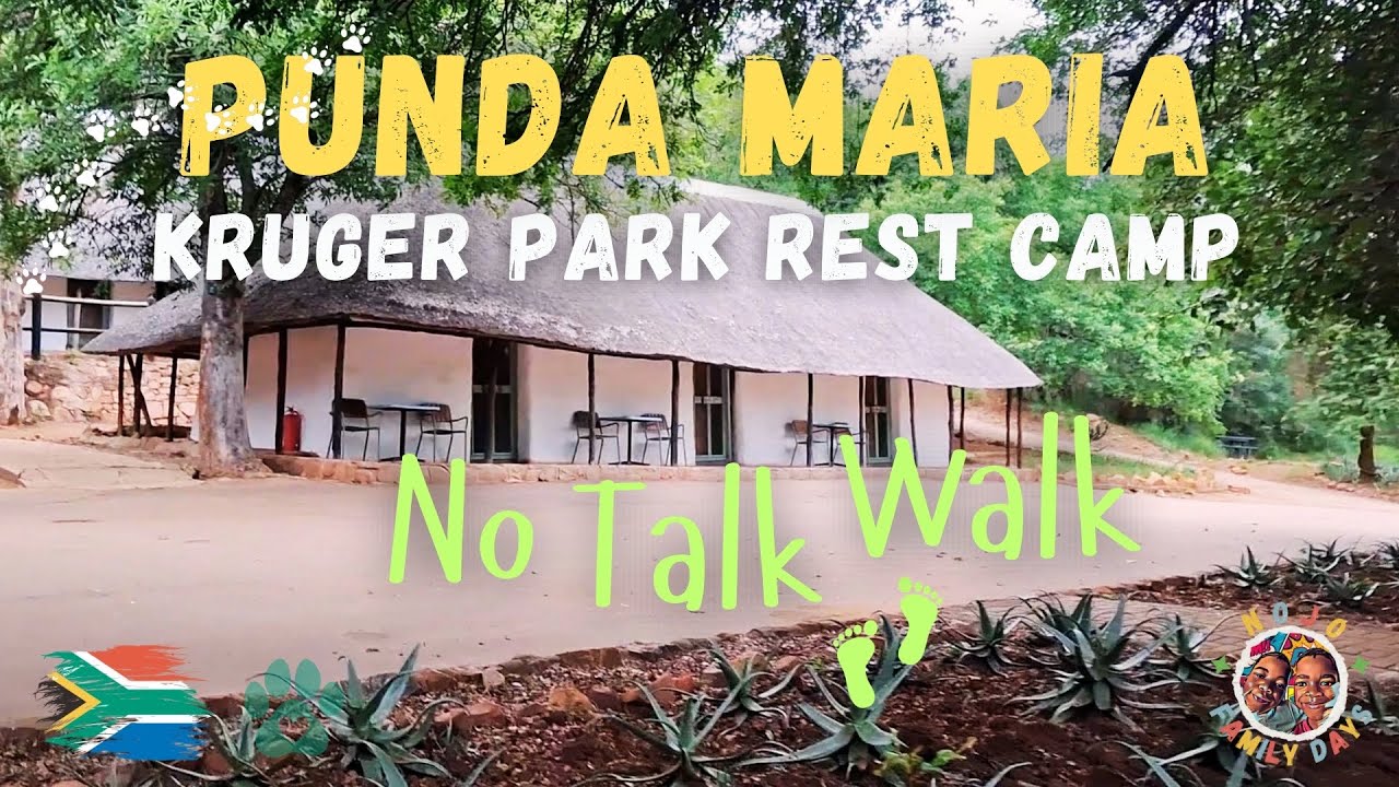 Kruger National Park - No Talk Walk in Punda Maria Rest Camp