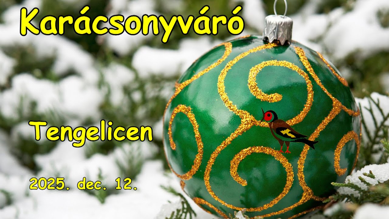 Karácsonyváró 2025.12.12.