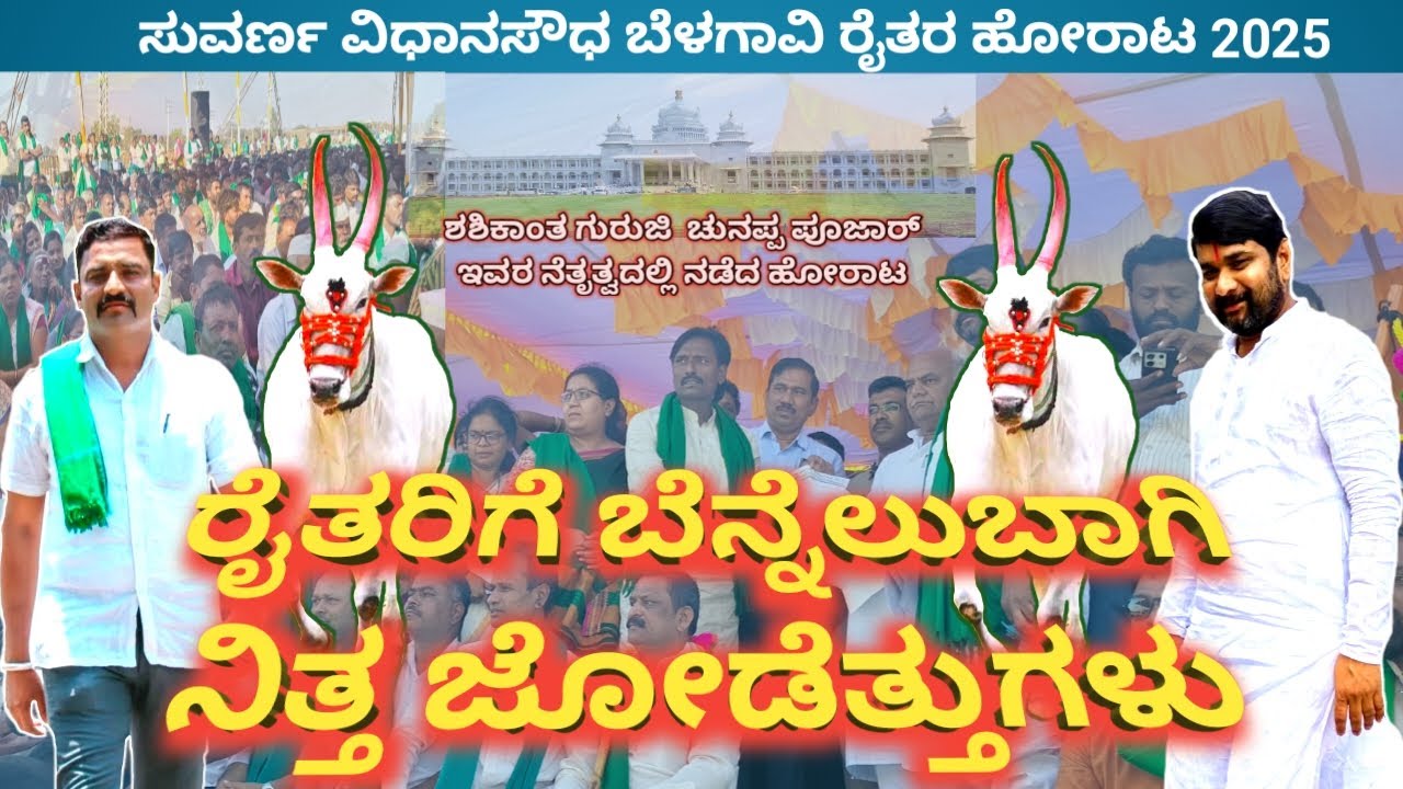 ರೈತರಿಗೆ ಬೆನ್ನೆಲುಬಾಗಿ ನಿತ್ತ ಜೋಡೆತ್ತುಗಳು#farmerprotest