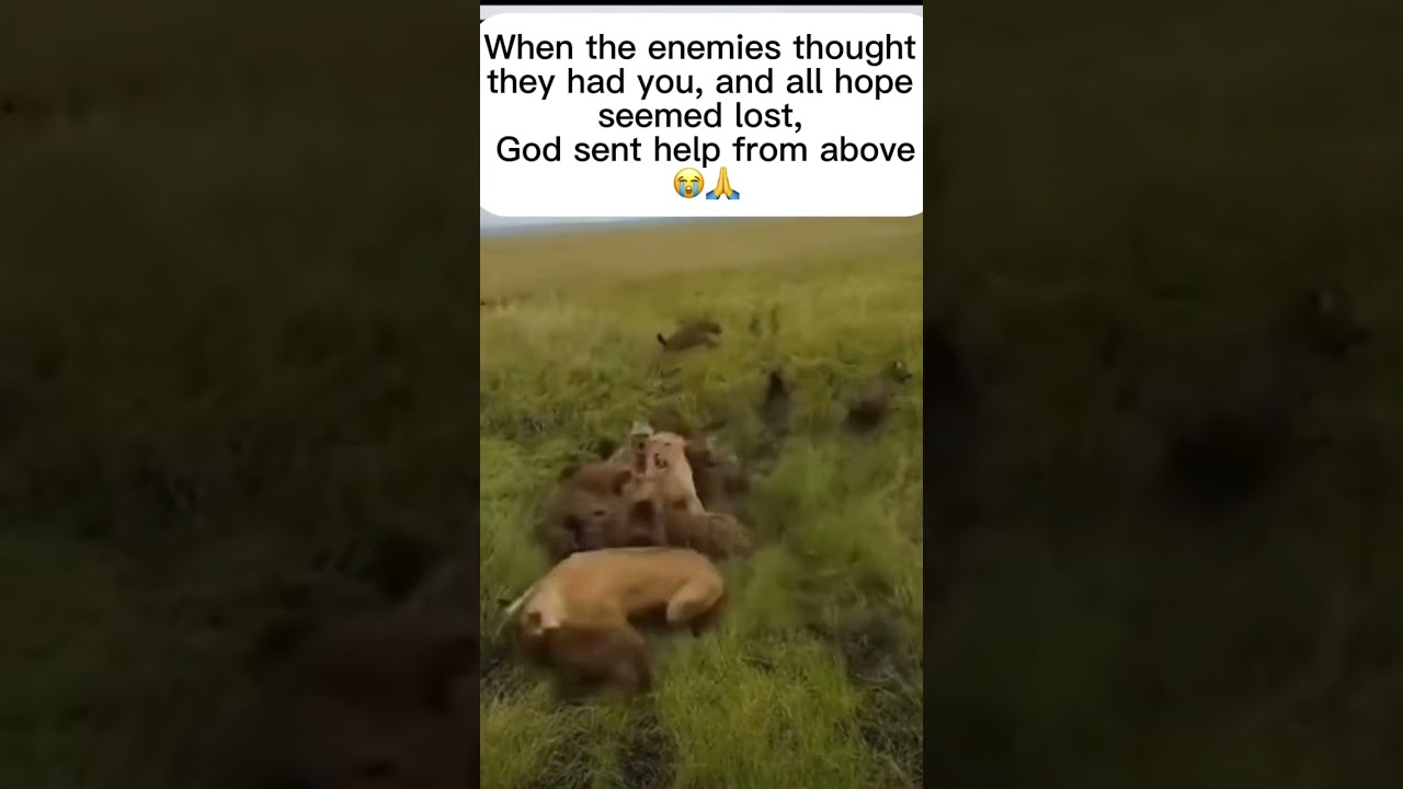 Every battle bows to faith in God  