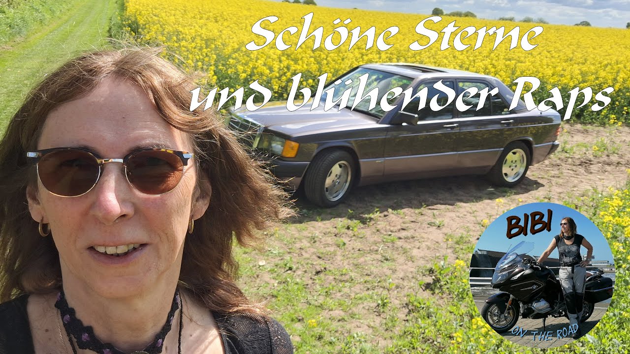 Schöne Sterne und blühender Raps