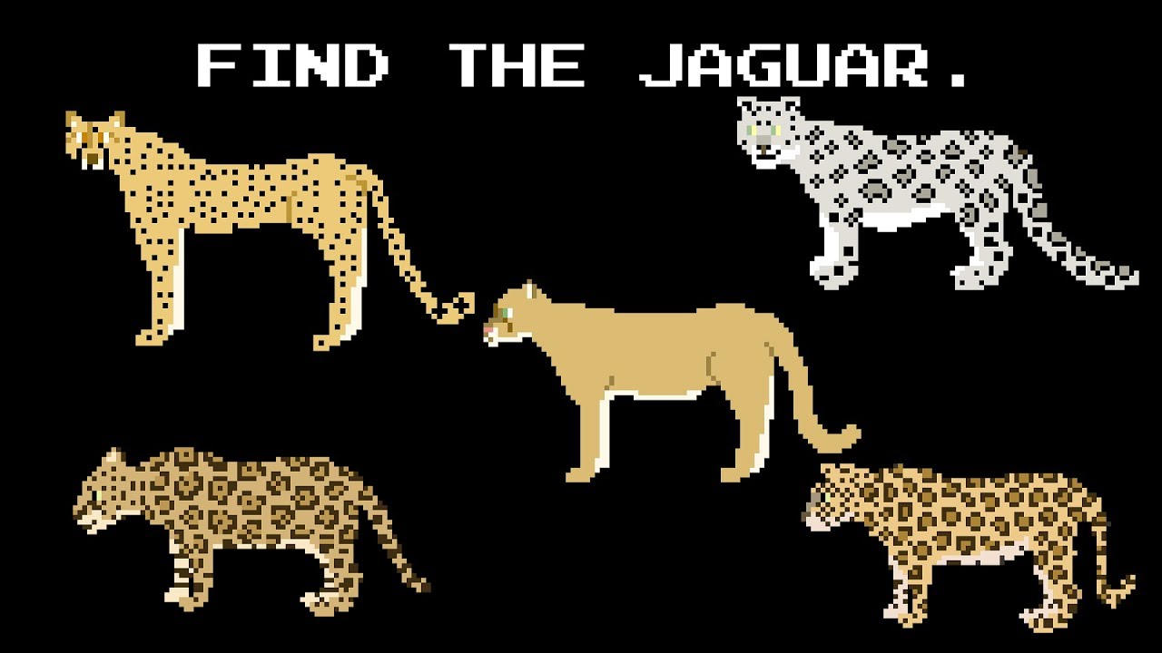 Find the Animals - Cats, Dogs, & More - The Kids' Picture Show (Fun & Educational Learning Video)
