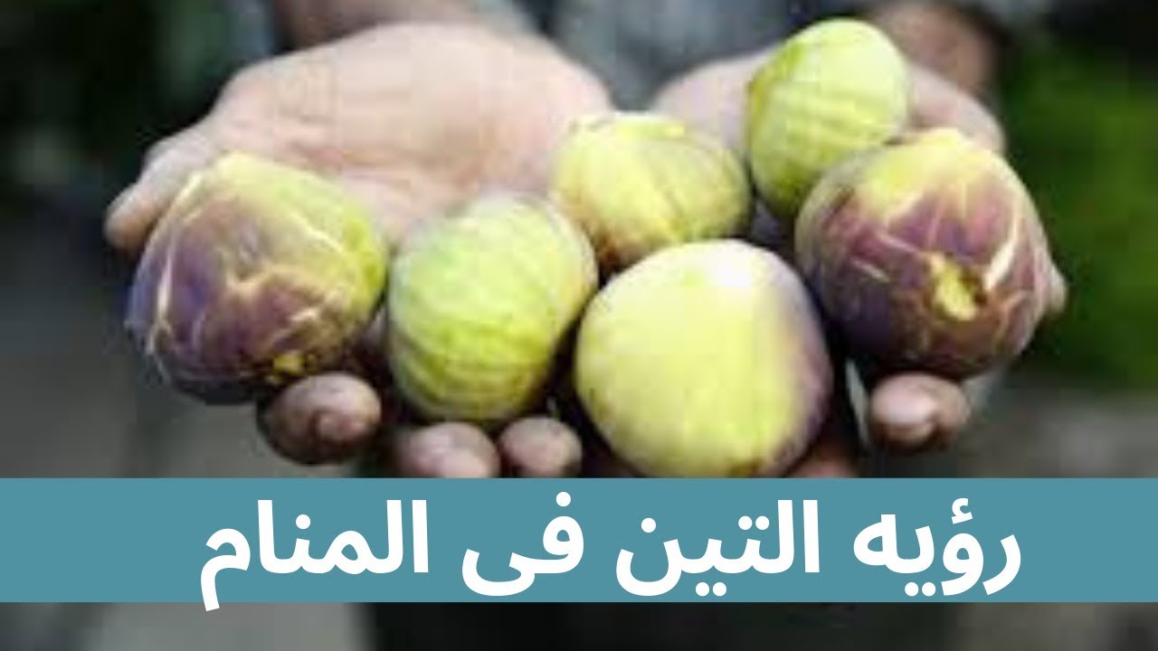 تفسير الاحلام ورؤيه التين فى المنام للعزباء والمتزوجة