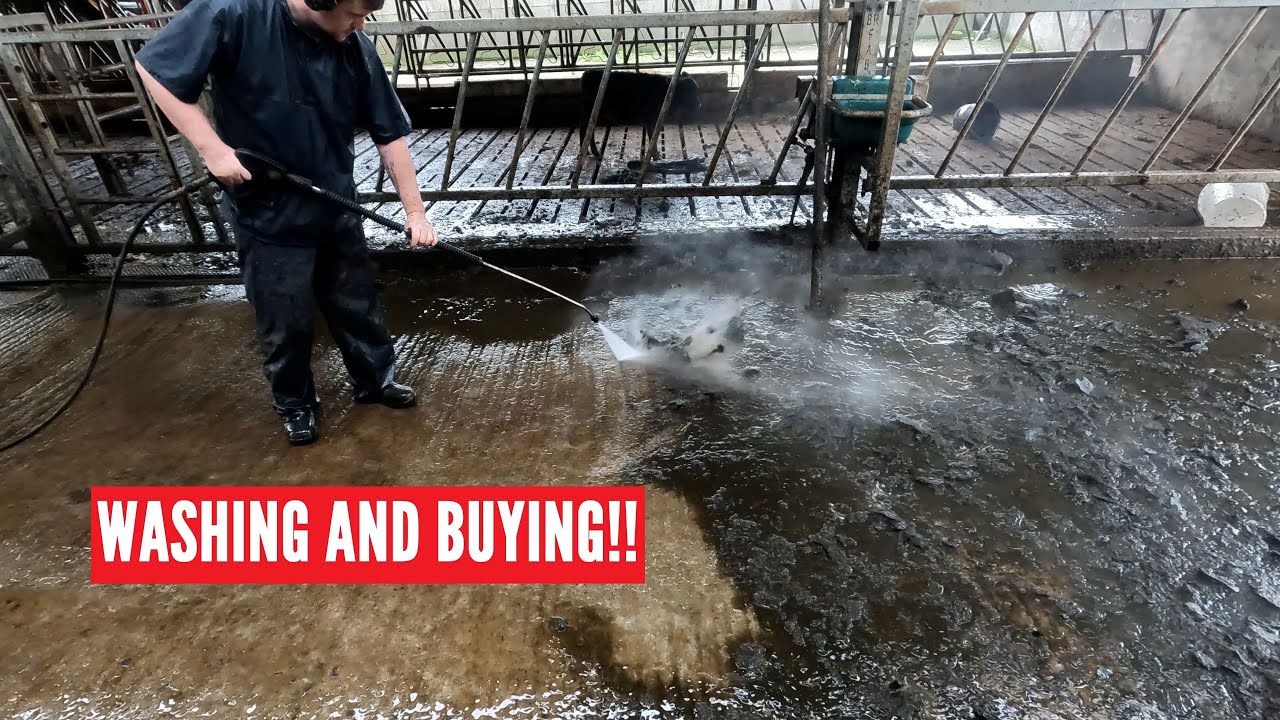 УГАДАЙТЕ ЧТО.. больше стирки (и я тоже покупаю вещи)
