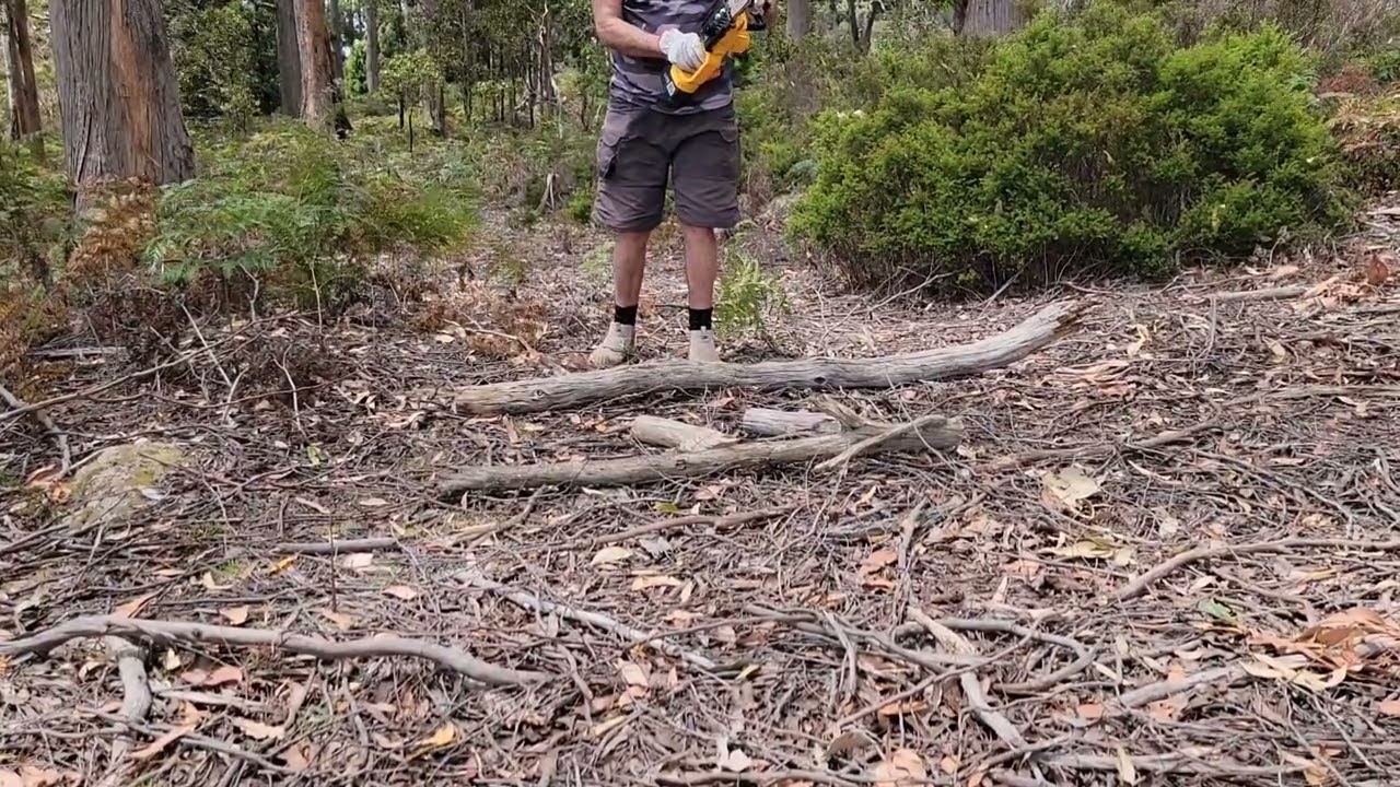 #128 Testing the little battery-operated Chinese chainsaw for the first time. Time will tell.