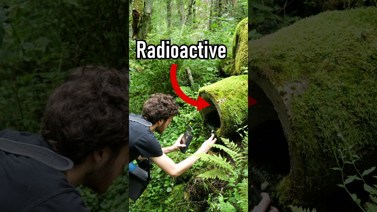 I found Uranium in a forest!
