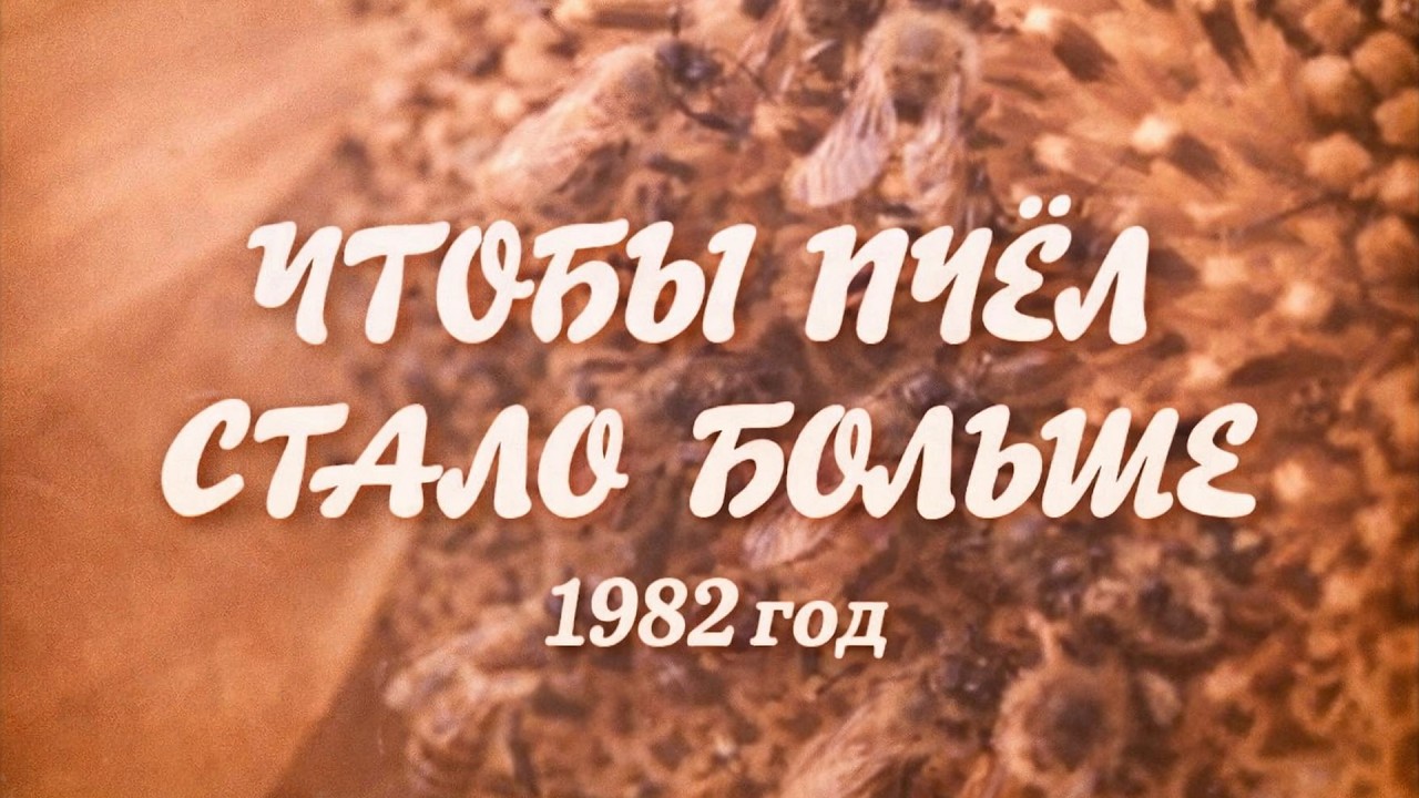 Фильм 