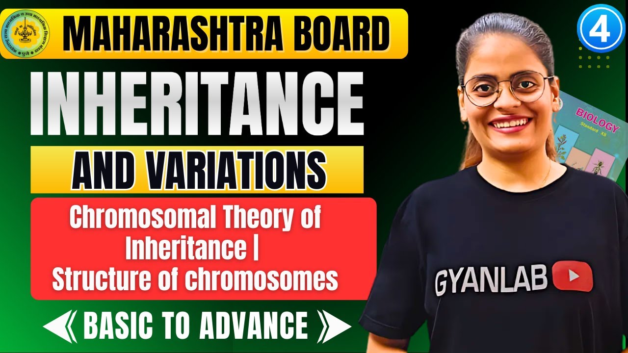 Class 12 Biology - Chp 3 Inheritance & Variations | Part 4 Structure of chromosomes | Gyanlab