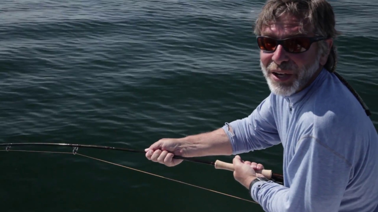 Rhode Island Striped Bass | Tom Rosenbauer