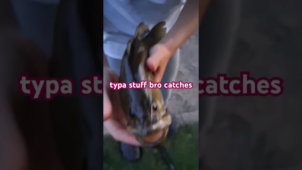 5pound dead bass
