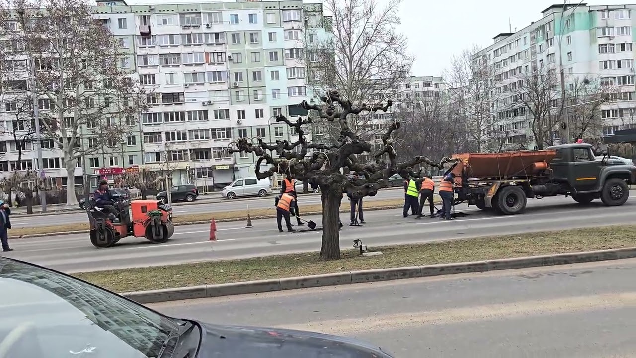 Кишинёв, на Ботанике, бульвар Дачия.