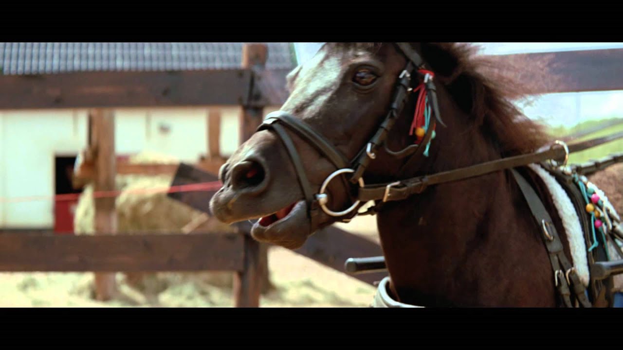 Job Bovelander - Zonder Woorden (Official video , Titelsong Penny's Shadow)