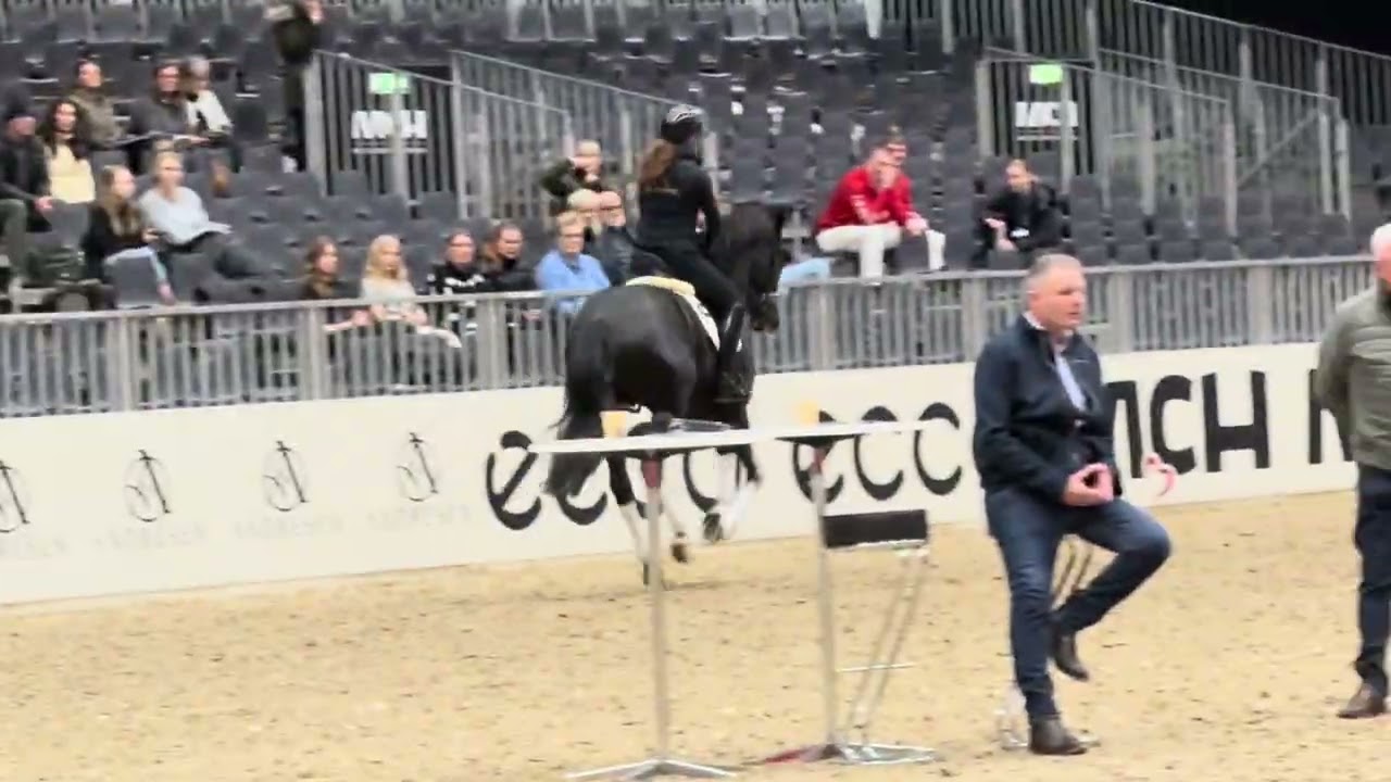 Epic Zone PS (Escanto PS x Secret x Zonik) 