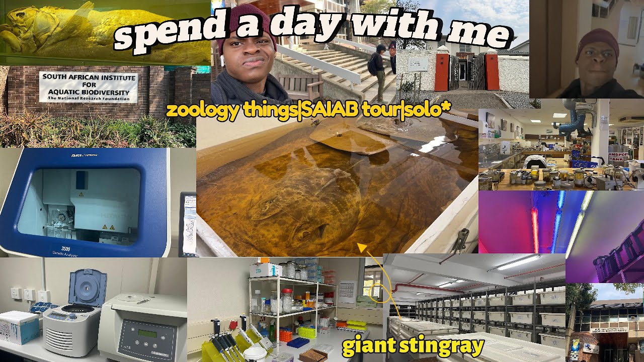 POV: Diving Into Marine Science at SAIAB | Aquatic Life Adventures!