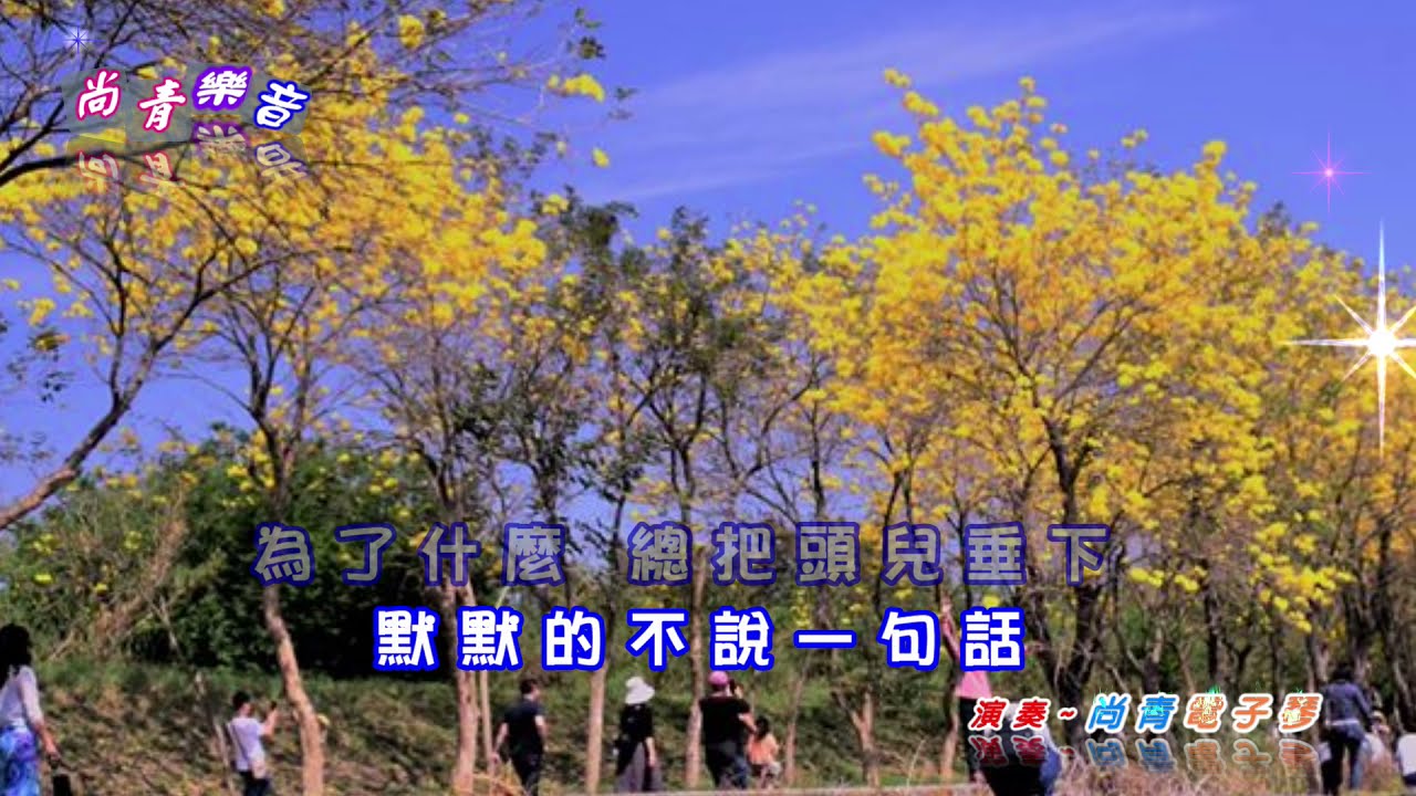 淚的小花 ~尚青雙電子琴