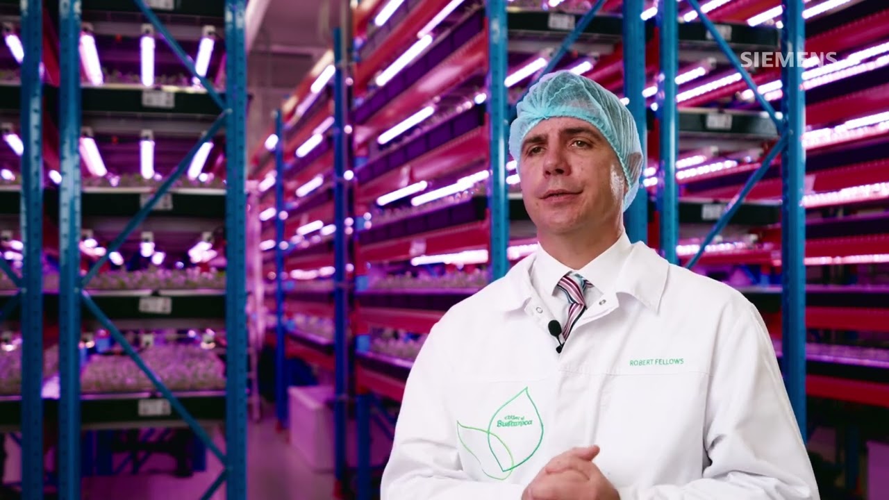 Siemens and Bustanica- Middle East’s biggest vertical farm
