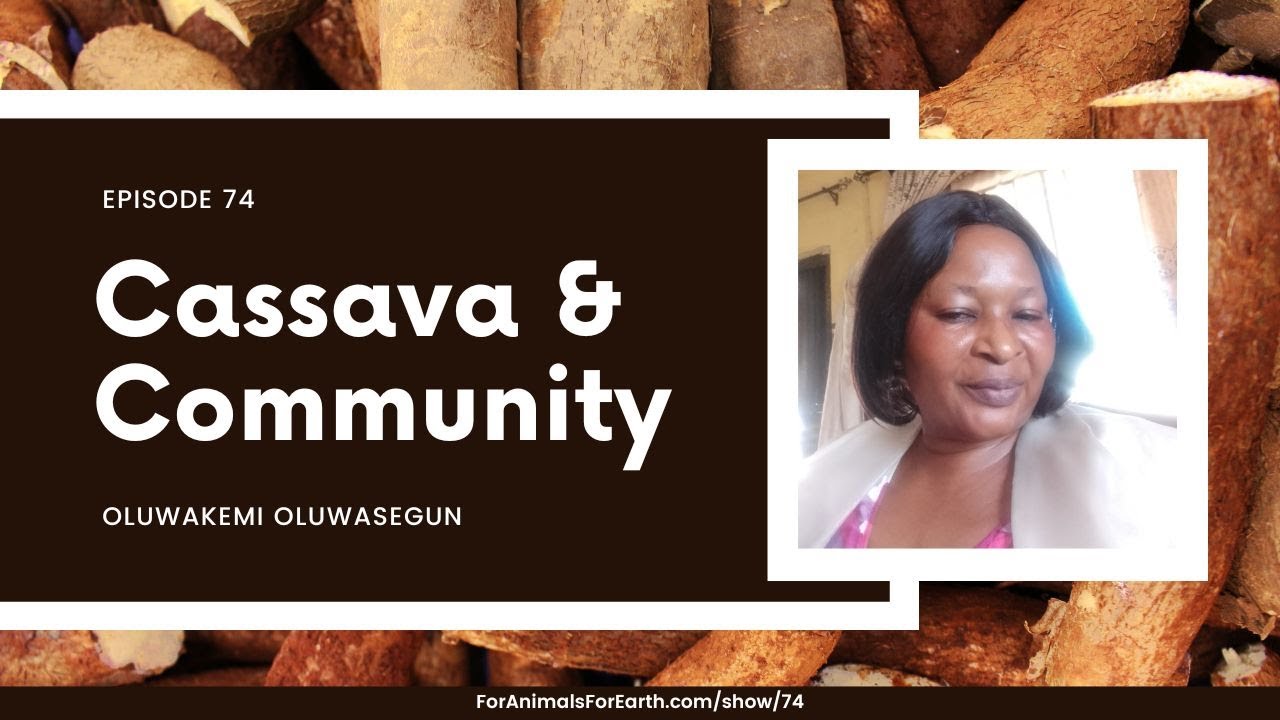 74. Cassava & Community with Oluwakemi Oluwasegun