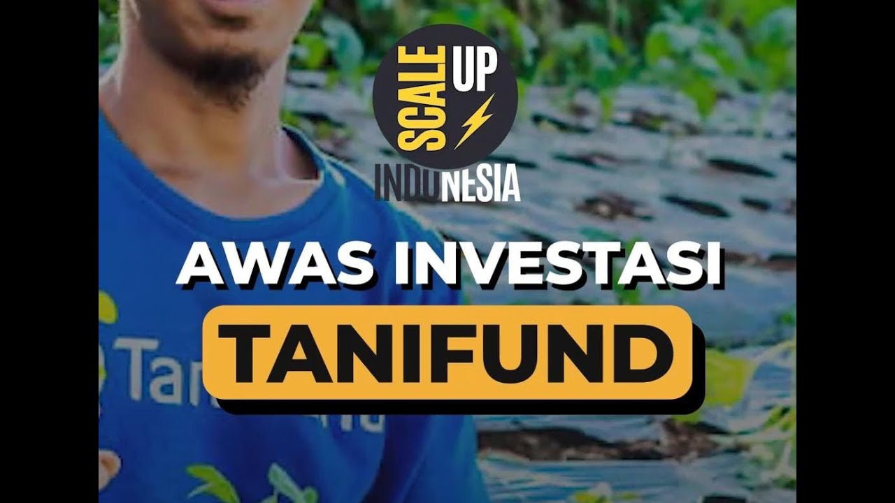 AWAS INVESTASI DI TANIFUND!! | SCALE UP