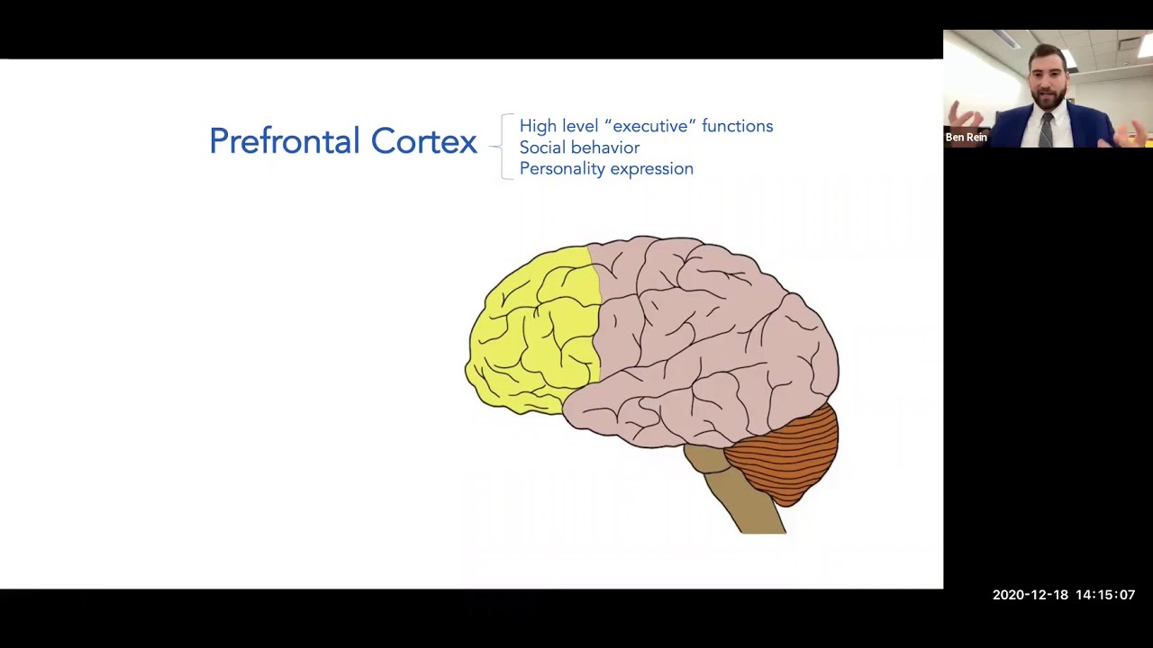 Watch me defend my PhD thesis