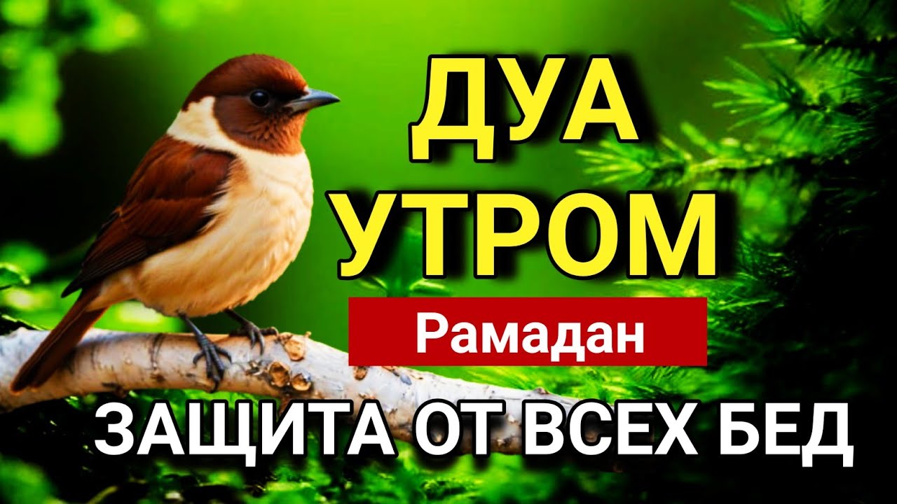 ДУА УТРОМ Рамадан— НАЧНИ ДЕНЬ САЛЛАХОМ 🤲💖💯