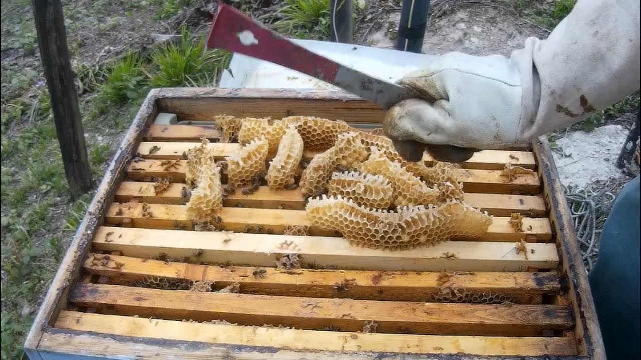 Arılara İkinci Katı Atma - Kaç Çeşit Kat Atma Şekli Var ve Kat Atmanın Püf Noktaları