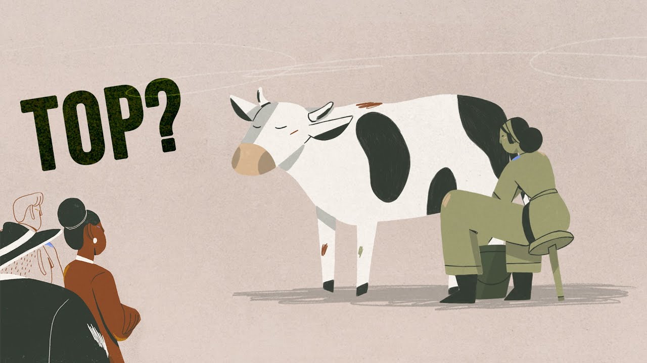 Für eine tiergerechte und ökologische Landwirtschaft