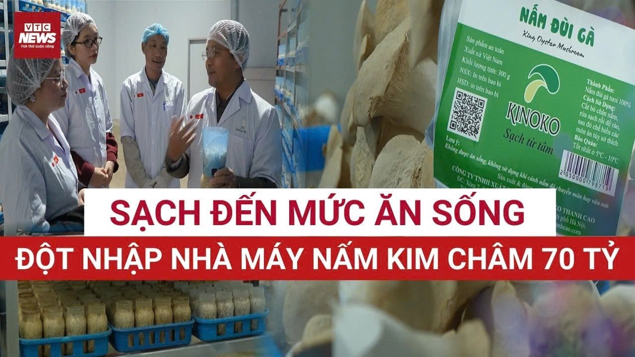 Bí mật: Hành trình 42 ngày trong nhà máy vô trùng, lời giải cho cơn khát nấm sạch của người Việt
