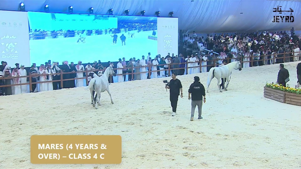 مهرجان الشرقية لجمال الخيل العربية الأصيلة - 2026 اليوم الثاني