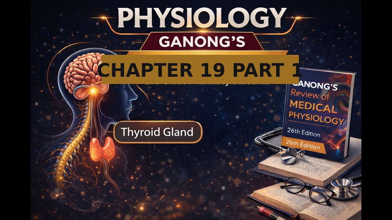 physiology /2nd grade pharmacy student / chapter 19 part 1