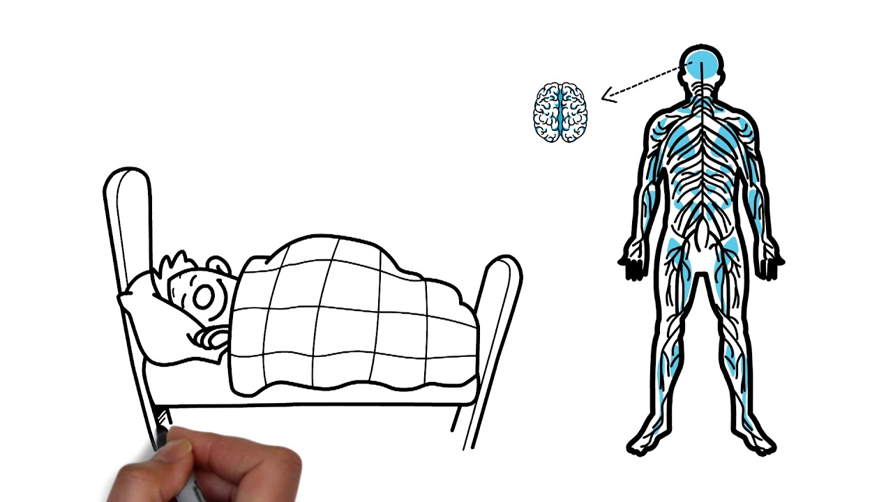 Dieta para el cerebro