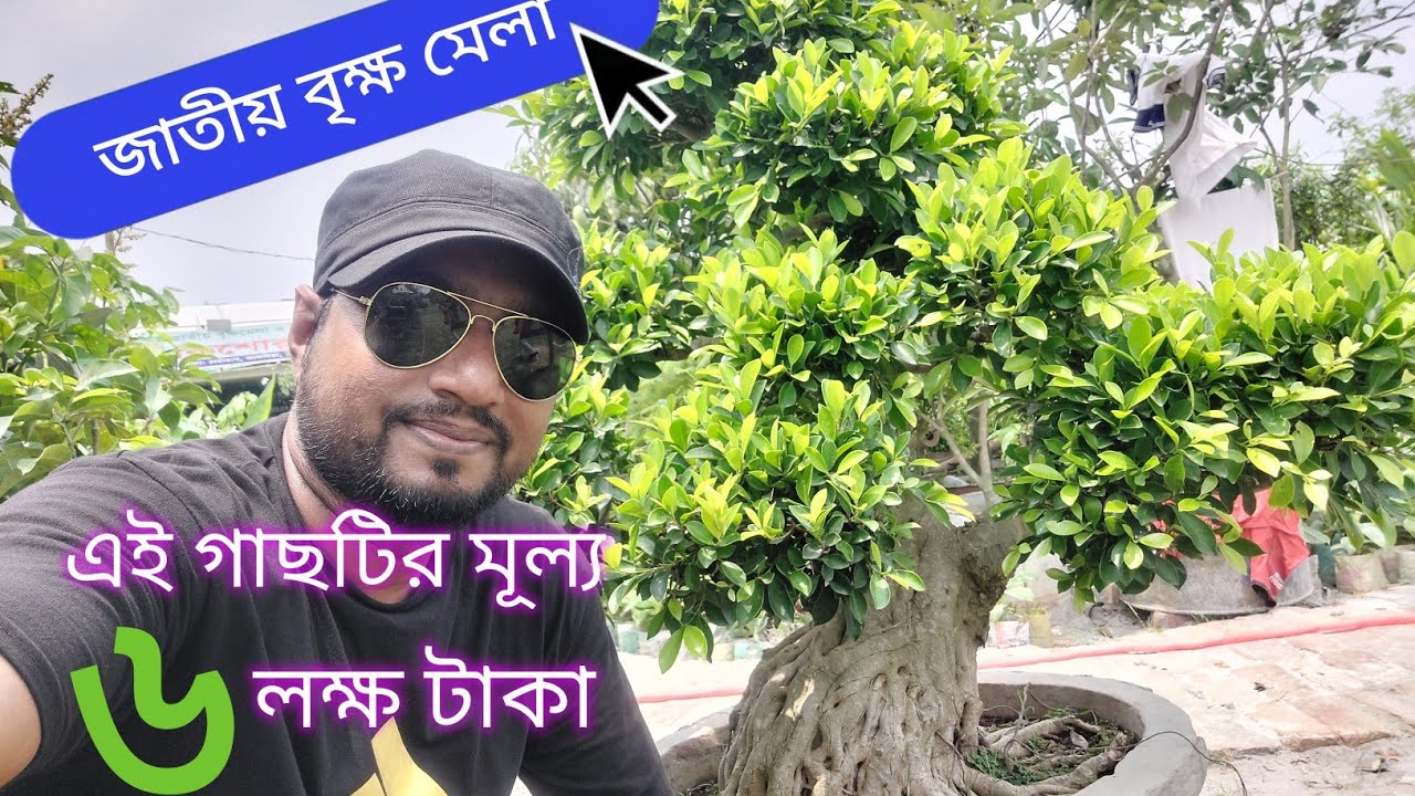জাতীয় বৃক্ষ মেলা। এই গাছটির মূল্য ৬ লক্ষ টাকা