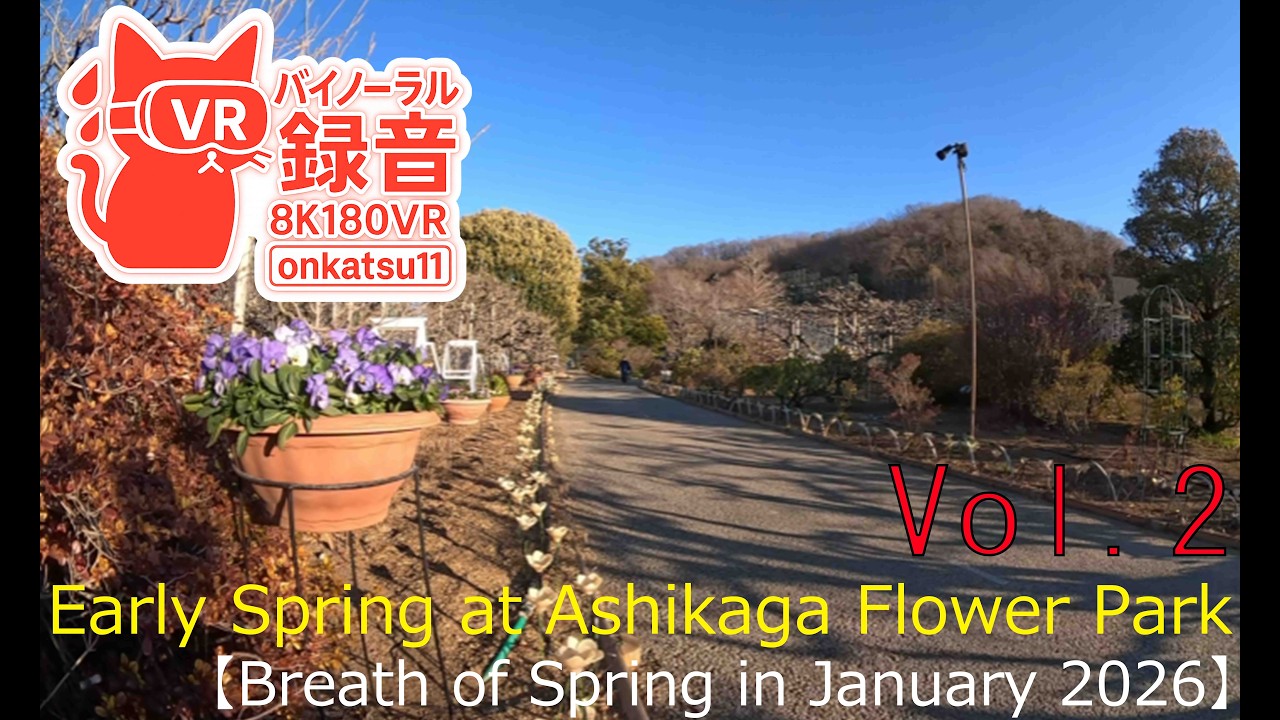 🌱[Early Spring at Ashikaga Flower Park—Breath of Spring in January 2026 (8K VR180)]Chapter Two‼