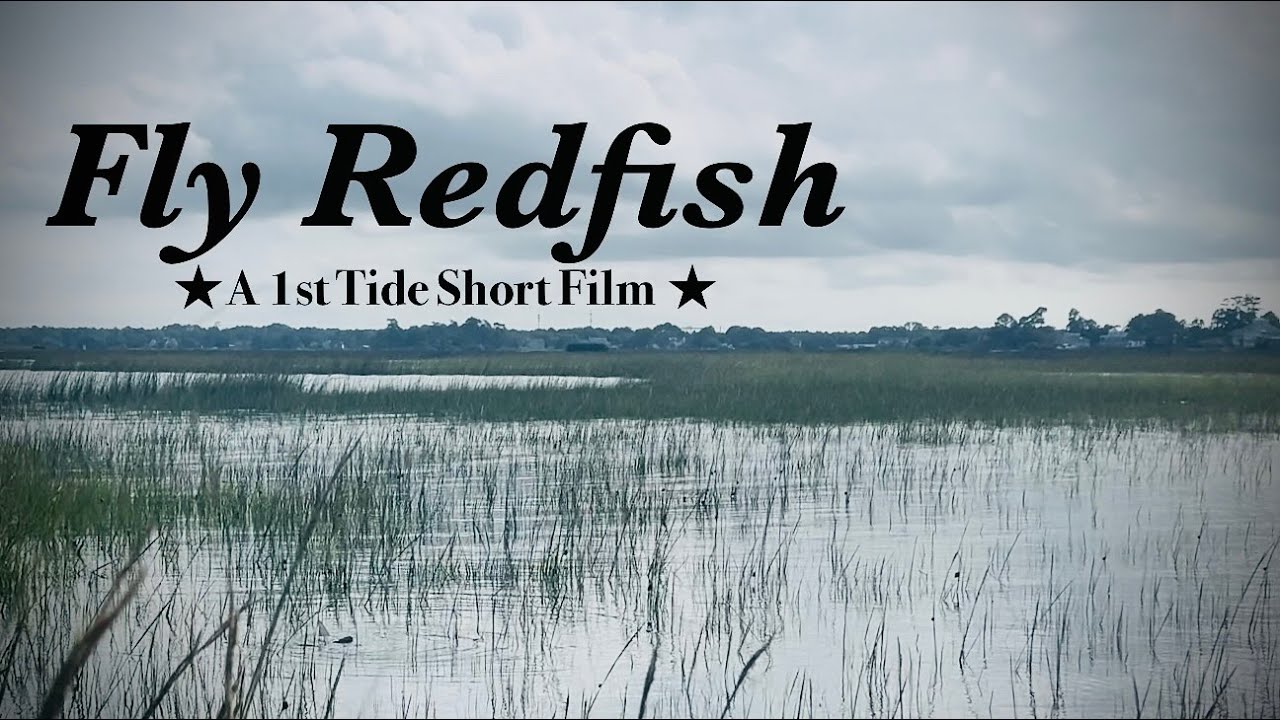 FLY FISHING REDFISH ON THE CHESAPEAKE BAY