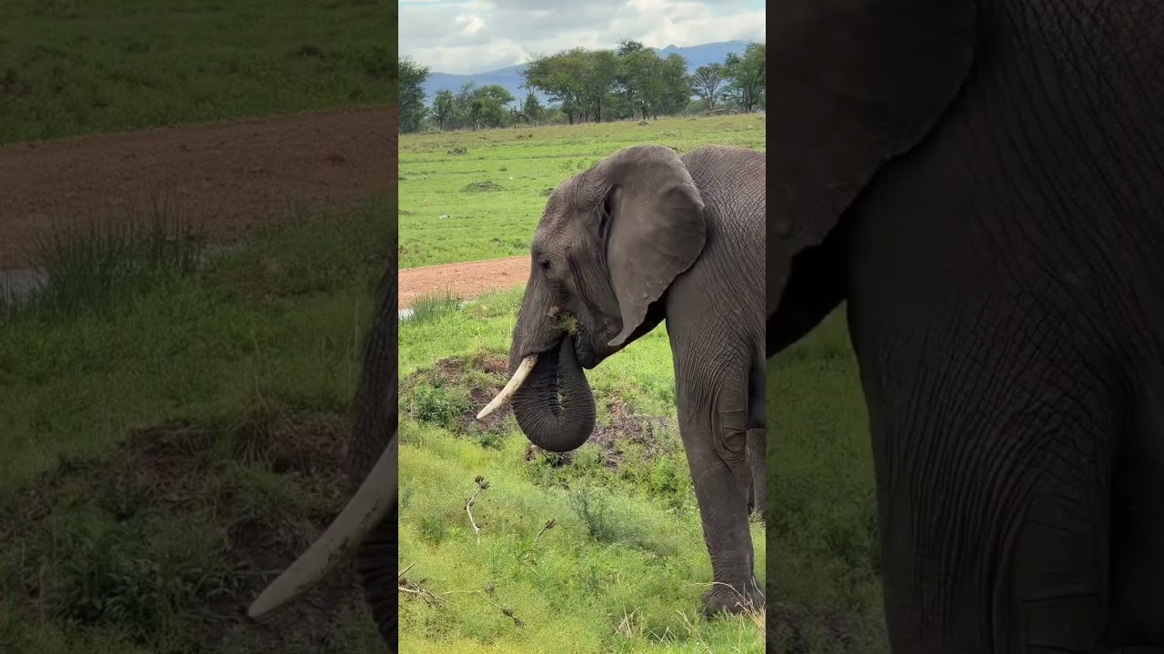 this Africa group trip in Tanzania was INSANE