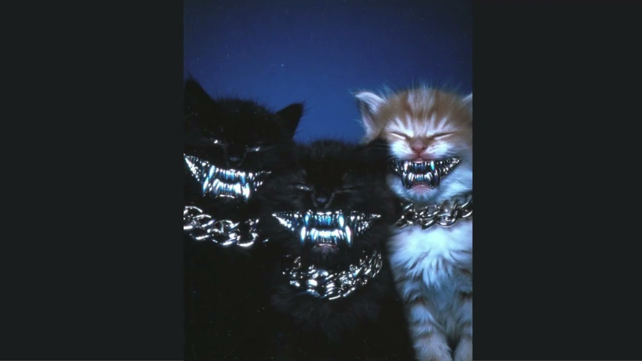 [FREE] Trap rock x type beat playboi carti x Metal trap x Trap oscuro - Dark track
