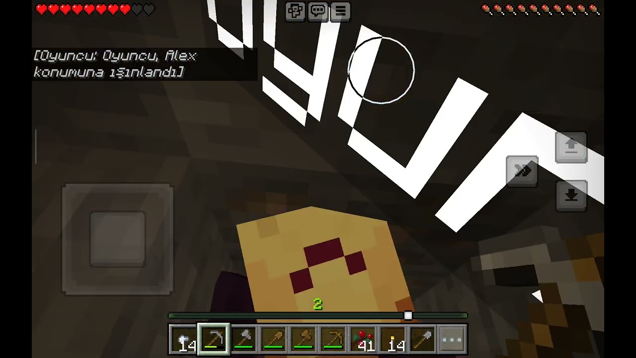 Kuzenimle birlikte Minecraft oynuyoruz